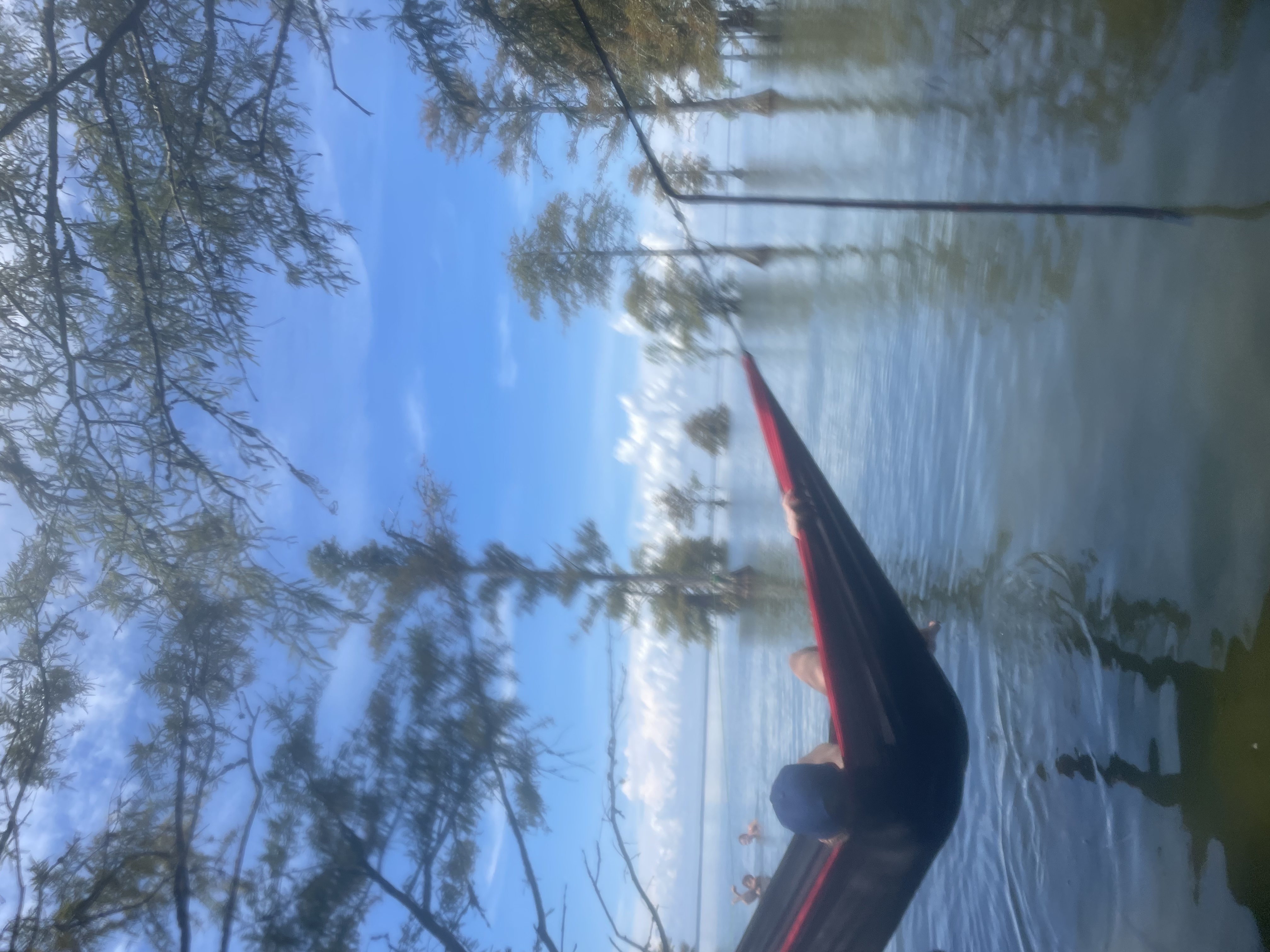 Hammocking, slacklining, and paddling between mangrove trees in Lake Moultrie, SC (August 2021)